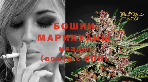 spice Няндома