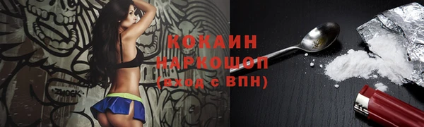 spice Няндома