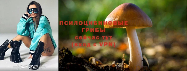 spice Няндома