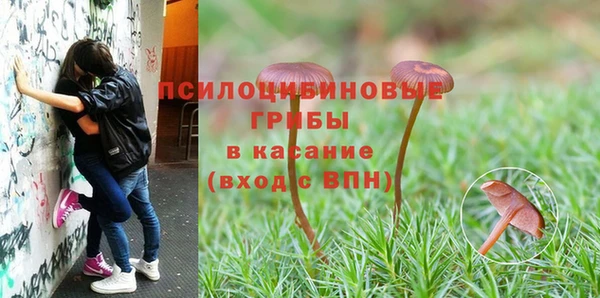 дмт Нязепетровск