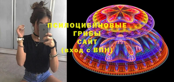 дмт Нязепетровск