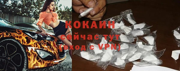 spice Няндома