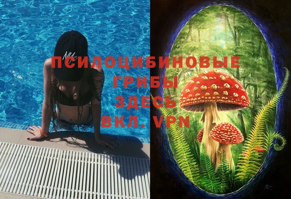 сатива Остров