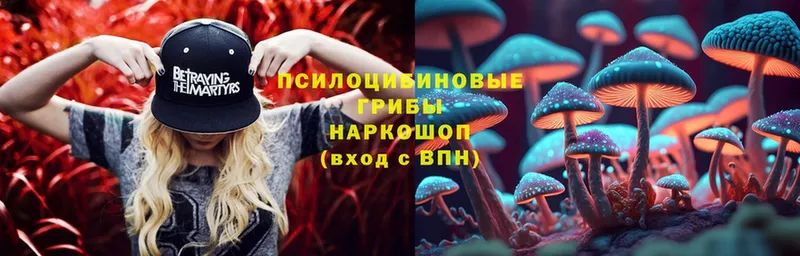 Псилоцибиновые грибы Cubensis  Чехов 