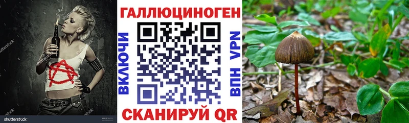 Галлюциногенные грибы мицелий МЕГА Чехов дарнет шоп